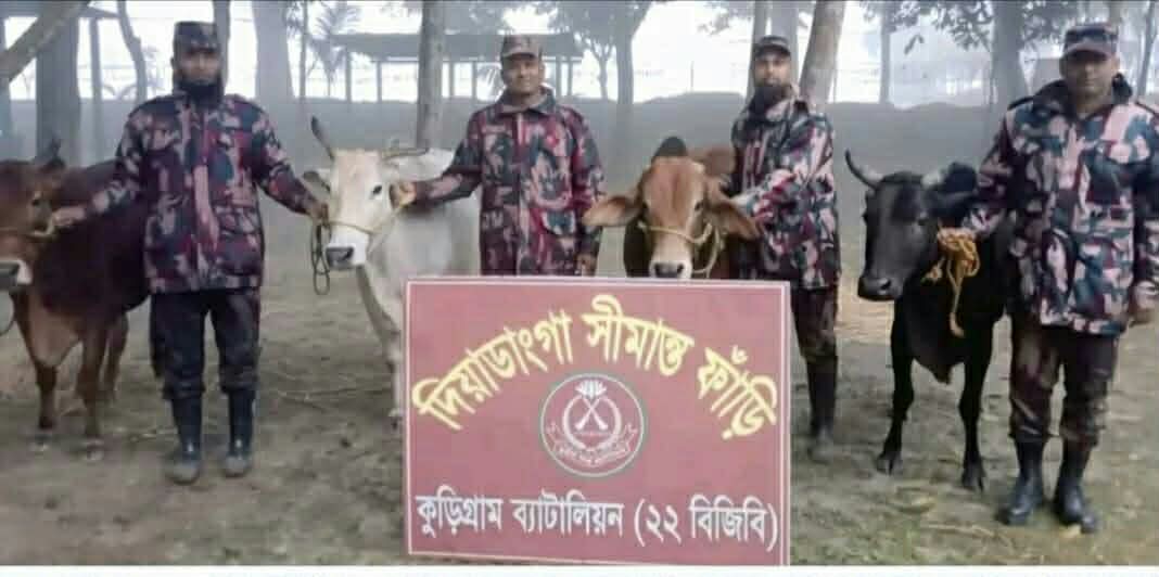 কুড়িগ্রাম সীমান্তে গরু-মহিষসহ প্রায় ২৯ লাখ টাকার ভারতীয় চোরাচালান পণ্য জব্দ