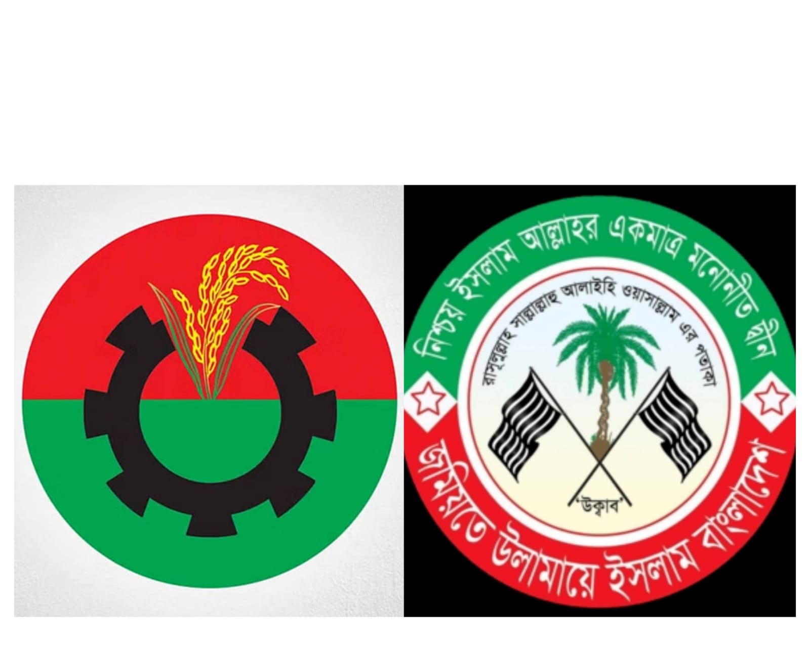 নরসিংদীর পাঁচ আসনে বিএনপি প্রার্থীদের পাশে থাকার নির্দেশনা জমিয়তে উলামায়ে ইসলামের