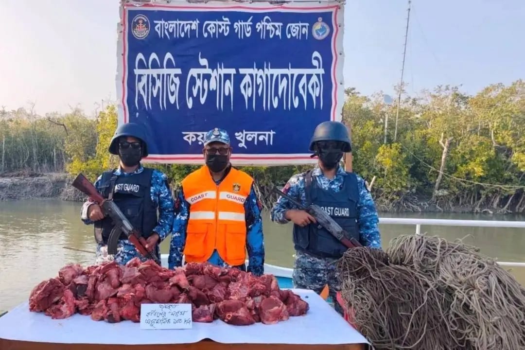 সুন্দরবনে ১০০ কেজি হরিণের মাংসসহ হরিণ শিকারের ফাঁদ জব্দ