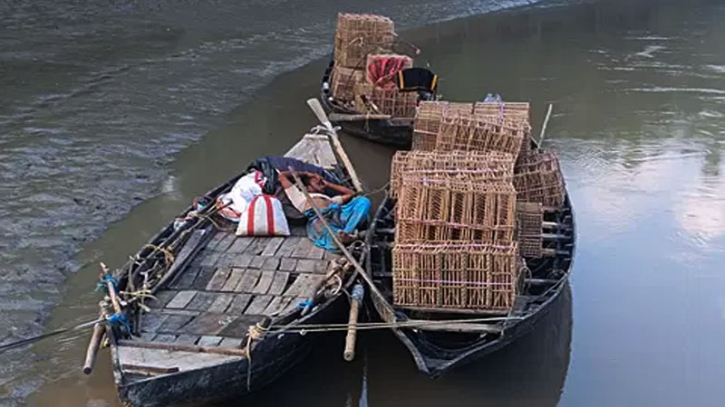 দুই মাস ব্ন্ধ থাকার পর সুন্দরবনে কাঁকড়া আহরণ শুরু