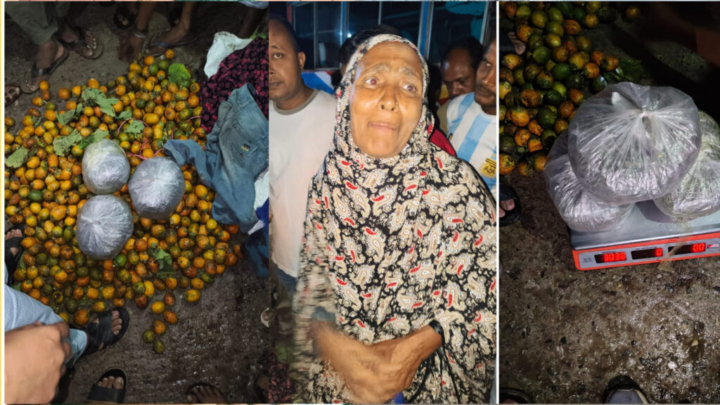 ভূরুঙ্গামারীতে ৩ কেজি গাঁজাসহ নওগাঁর নারীসহ আটক দুই