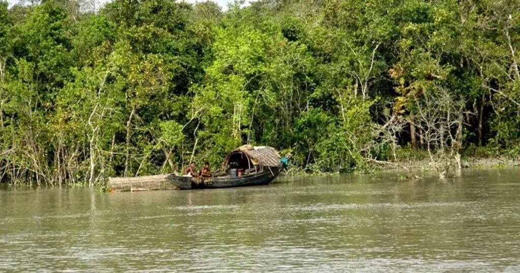 ‎সুন্দরবনের অভয়ারণ্যে অপরাধ প্রবণতা ঠেকাতে কঠোর নজরদারি
