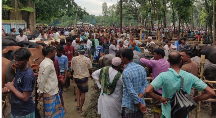 রৌমারী হাটে অতিরিক্ত হাসিল আদায়ের অভিযোগ, বিএনপি নেতার ছেলের নামে ইজারা