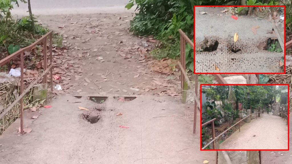 দুই পাশে নামী স্কুল, মাঝে ‘মৃত্যুকূপ’: ভাঙা কালভার্টেই নিত্যদিন দুর্ঘটনা