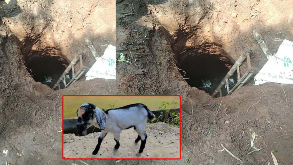 মধুপুরে পরিত্যক্ত কূপে ছাগলছানা উদ্ধার করতে গিয়ে বাবা-ছেলেসহ ৪ গারোর মর্মান্তিক মৃত্যু