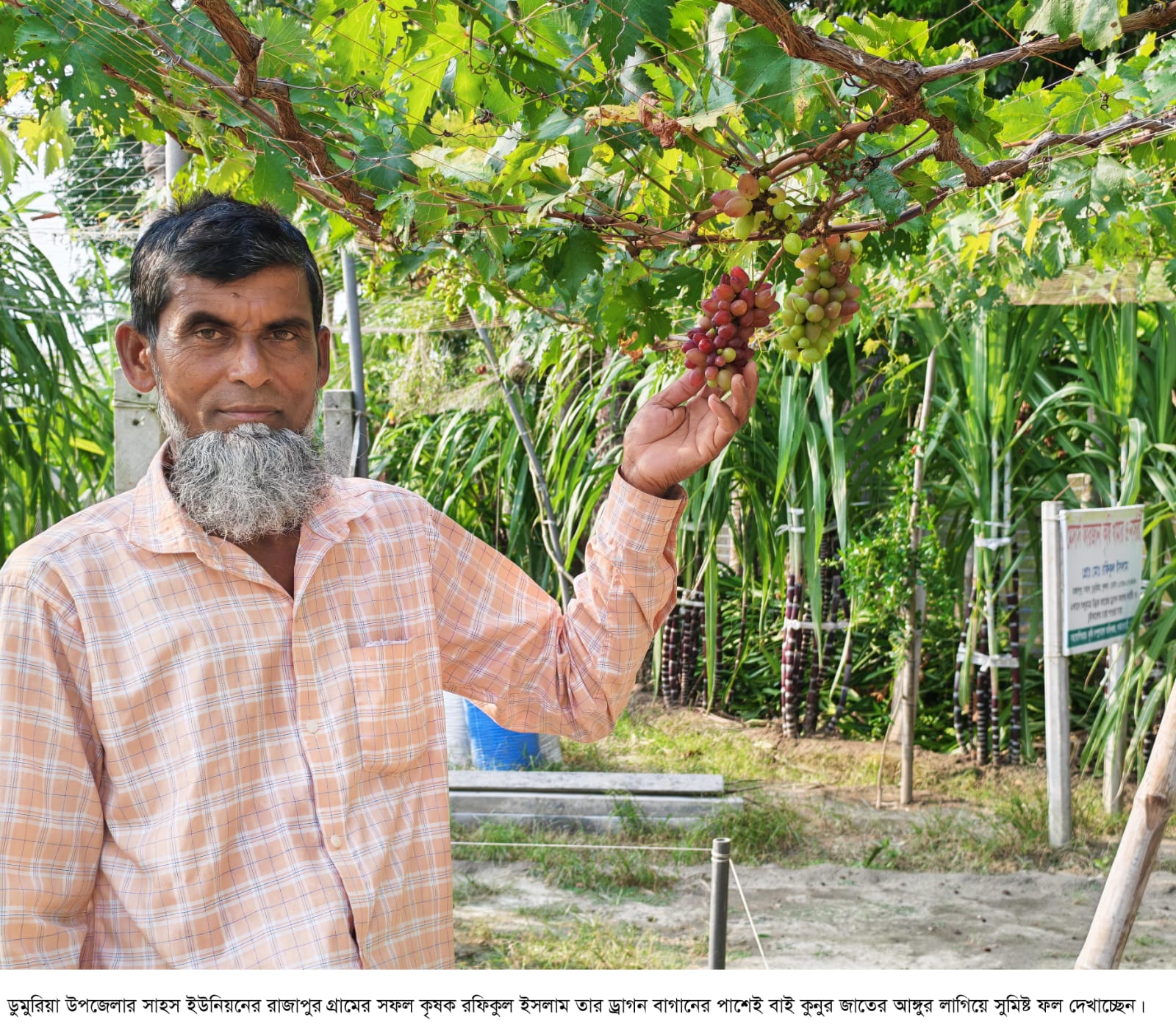 খুলনায় একজন সফল কৃষকের গল্প।