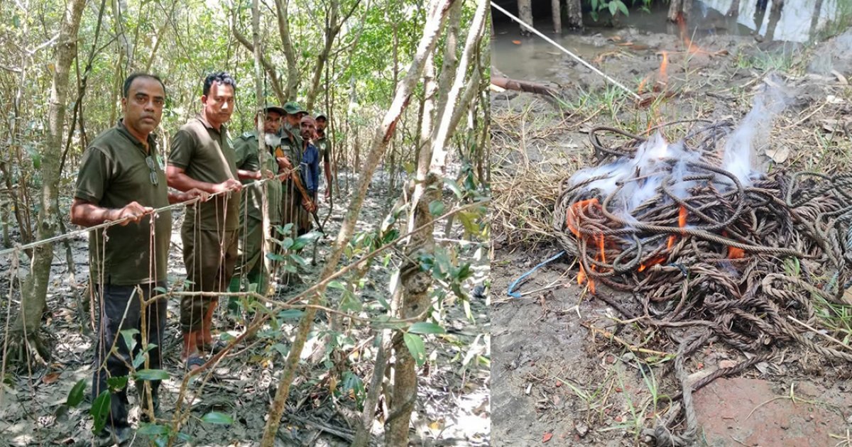 ‎সুন্দরবনে সক্রিয় ১৫০ বন্যপ্রাণী শিকারি: গোয়েন্দা নজরদারিতে অপরাধী চক্র