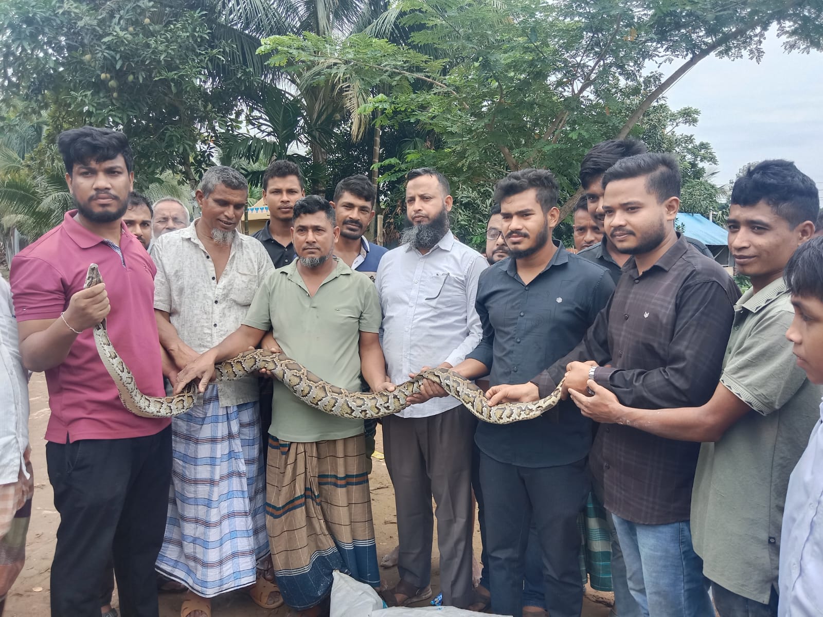মাছ ধরার জালে ধরা পড়ল ৮ ফুটের বার্মিজ অজগর, দীঘিনালায় উদ্ধার শেষে বন বিভাগের জিম্মায়।