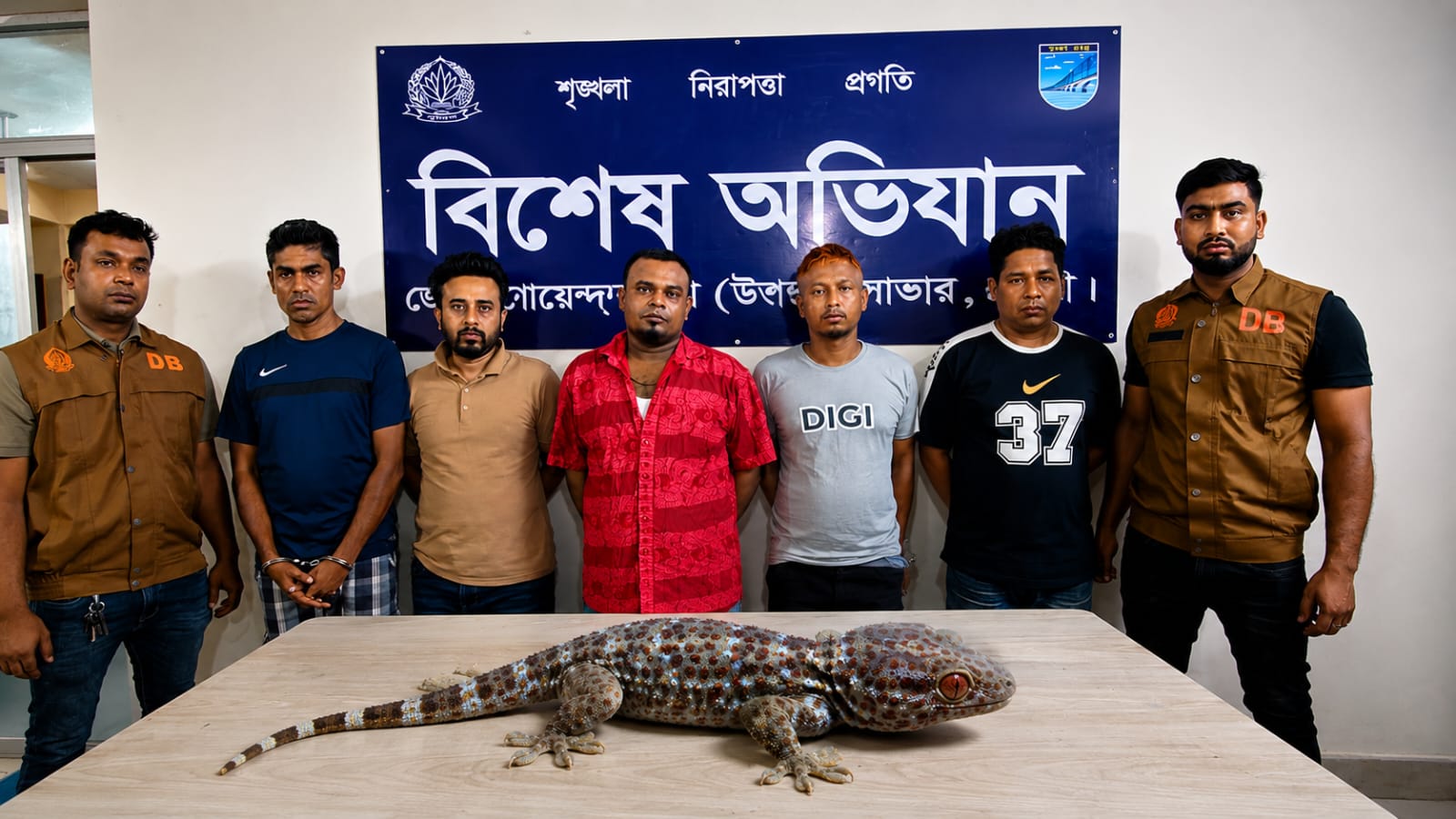 সাভারে ডিবির বিশেষ অভিযানে তক্ষক উদ্ধার, ৫ বন্যপ্রাণী ব্যবসায়ী গ্রেপ্তার