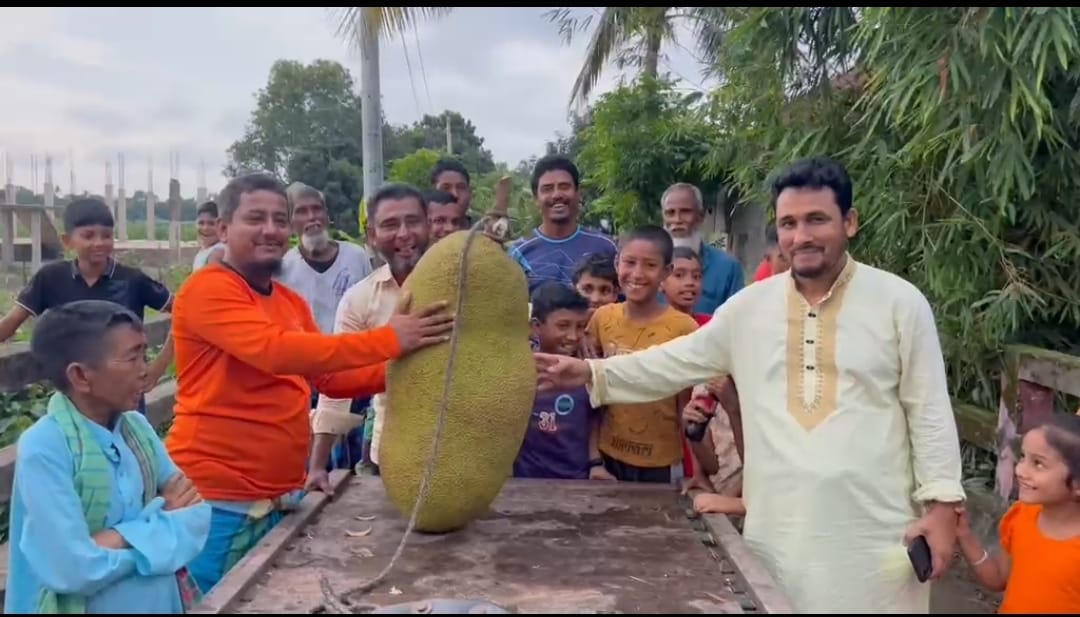 সোনারগাঁয়ে দুই মণ ওজনের বিশাল কাঁঠাল দেখতে উৎসুক জনতার ভিড়, বিক্রি হলো ১০ হাজার টাকায়!