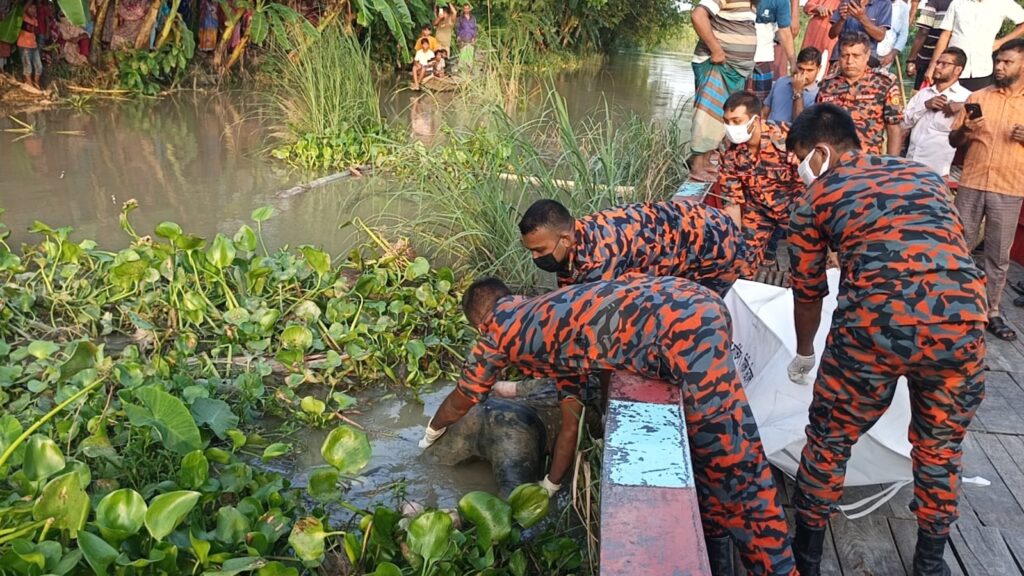 শরীয়তপুরের সখিপুরে পদ্মা শাঁখা নদীতে ডুবে যাওয়া ফারিয়ার দুই দিন পর লাশ উদ্ধার..!