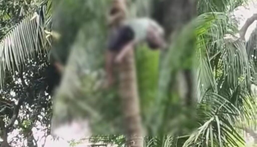 শরীয়তপুর জাজিরায় নারকেল গাছের ডালপালা ছাঁটাই করতে গিয়ে বি/দ্যু/ৎস্পৃ/ষ্টে শ্রমিকের মৃ/ত্যু