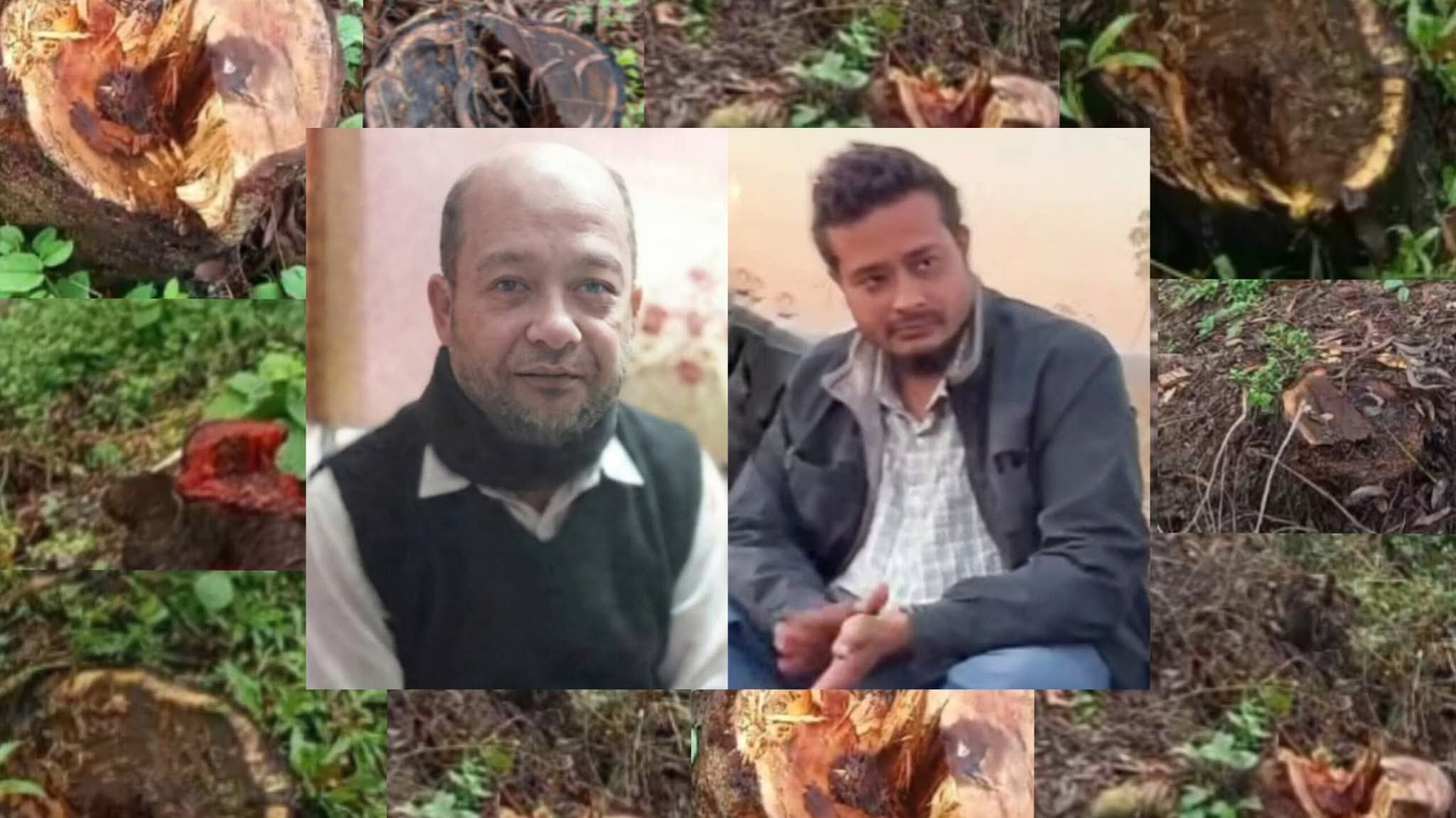 প্রধানমন্ত্রীর ২৫ কোটি চারা রোপণের উদ্যোগে বাধা: সওজ ও রামু উপজেলা প্রশাসনের নীরবতায় গাছ সাবাড় করছে বাপ-ছেলে