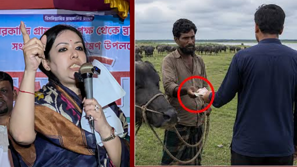 গরু-মহিষকে ঘাস খাওয়াতেও চাঁদা দিতে হয়: রুমিন ফারহানা
