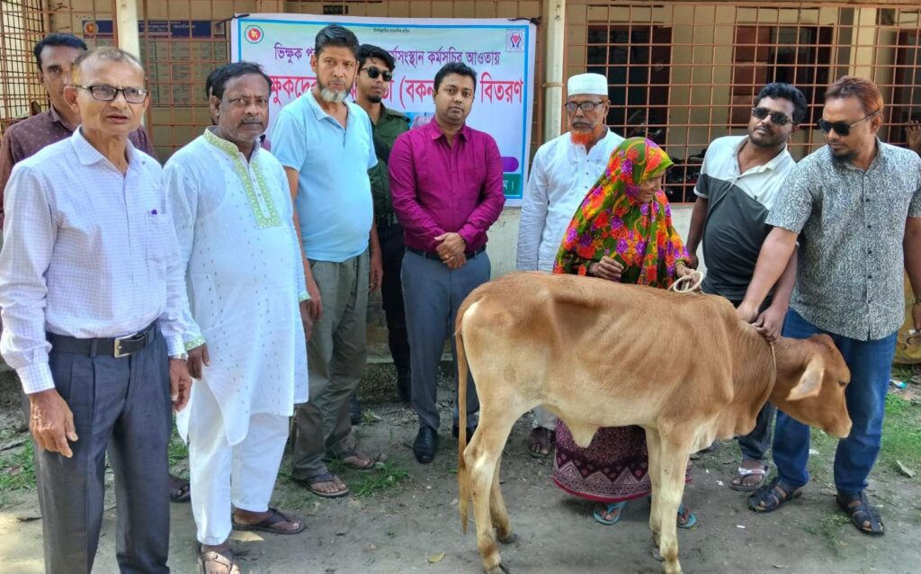 ভূরুঙ্গামারীতে ভিক্ষুক পুনর্বাসনে ১১টি গরু বিতরণের তালিকা ও বরাদ্দ তথ্য দিতে নারাজ; তদন্তের দাবি