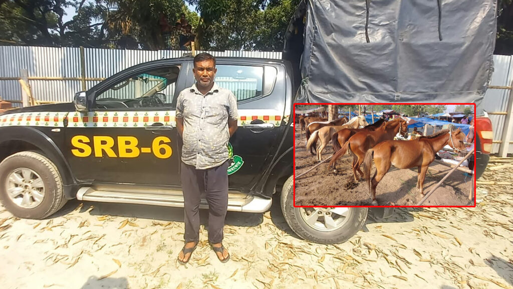 খুলনায় তিন মণ ঘোড়ার মাংসসহ আটক-১, তিন মাসের কারাদণ্ড